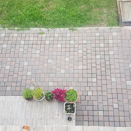 Apartment Appart 4 Pieces Schiltigheim